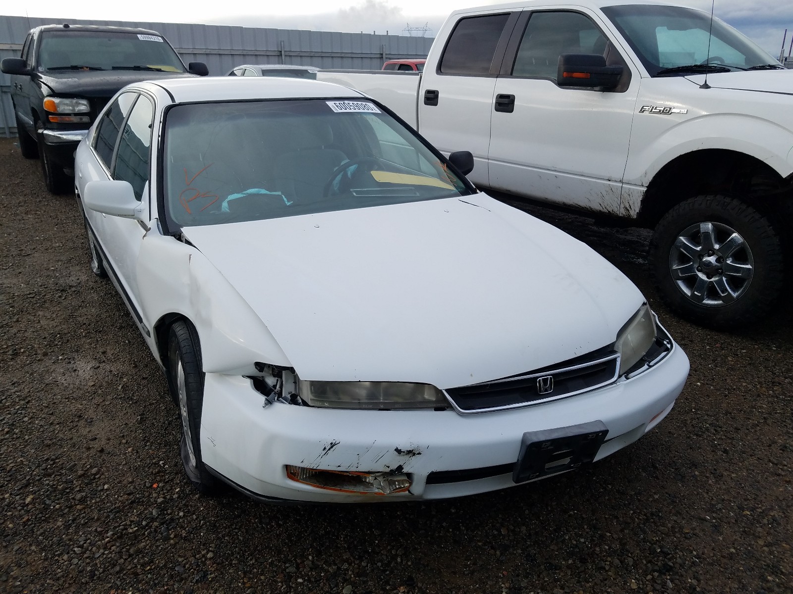 HONDA ACCORD LX 1996 1hgcd5634ta129441