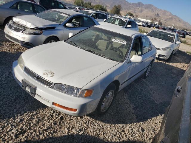 HONDA ACCORD LX 1997 1hgcd5639va228677