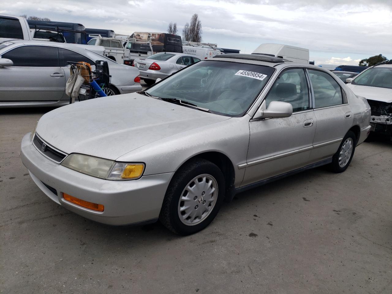 HONDA ACCORD 1996 1hgcd5654ta176535