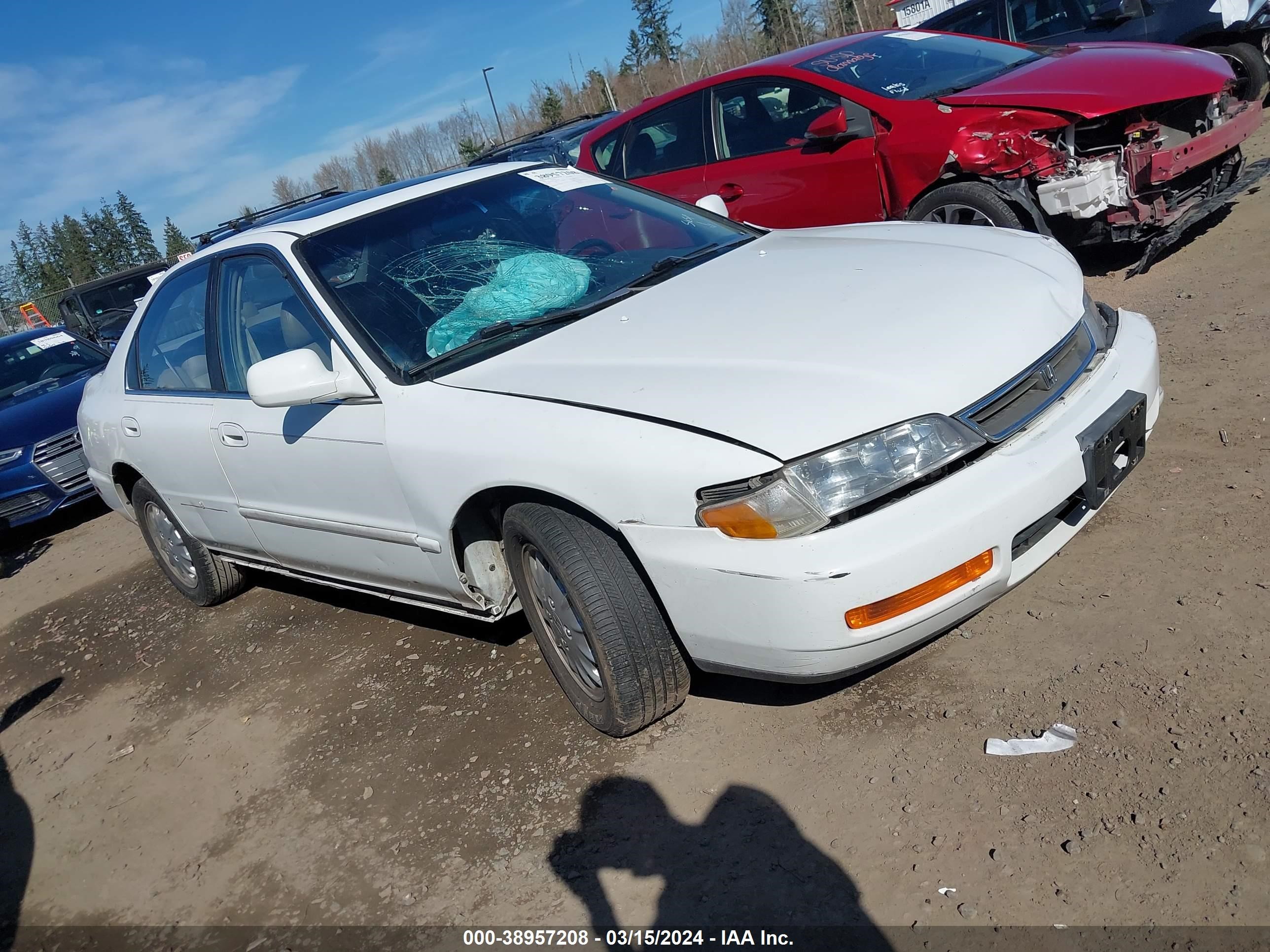 HONDA ACCORD 1996 1hgcd5667ta133459