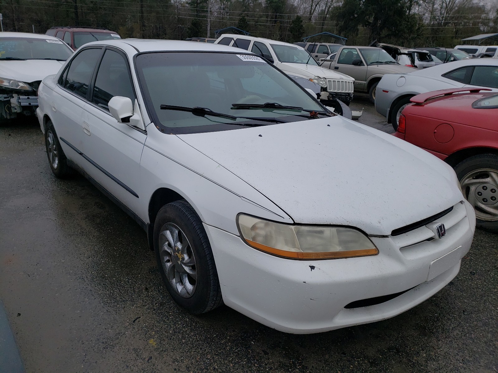 HONDA ACCORD LX 1999 1hgcg5642xa161567