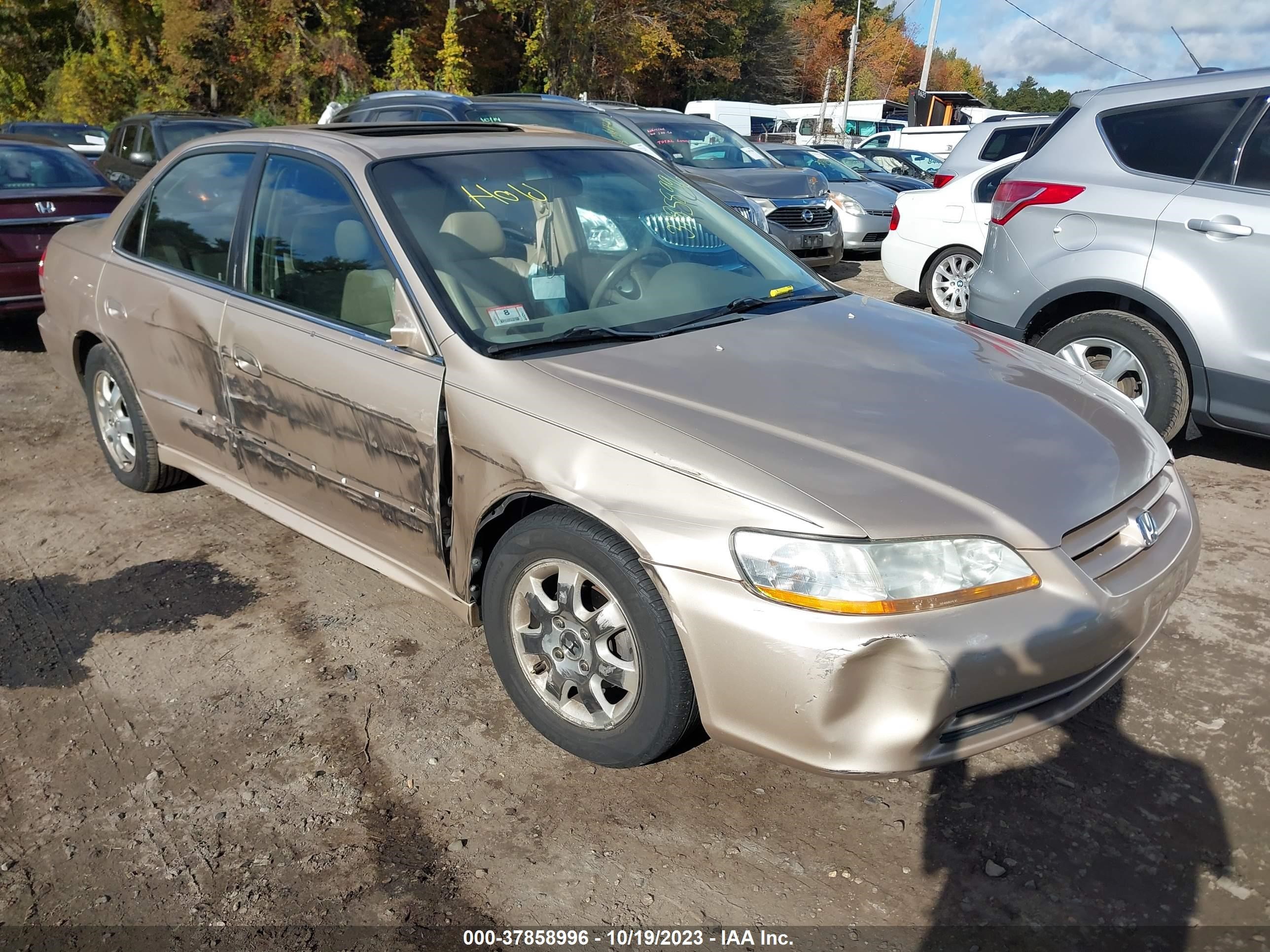 HONDA ACCORD 2002 1hgcg56612a070557