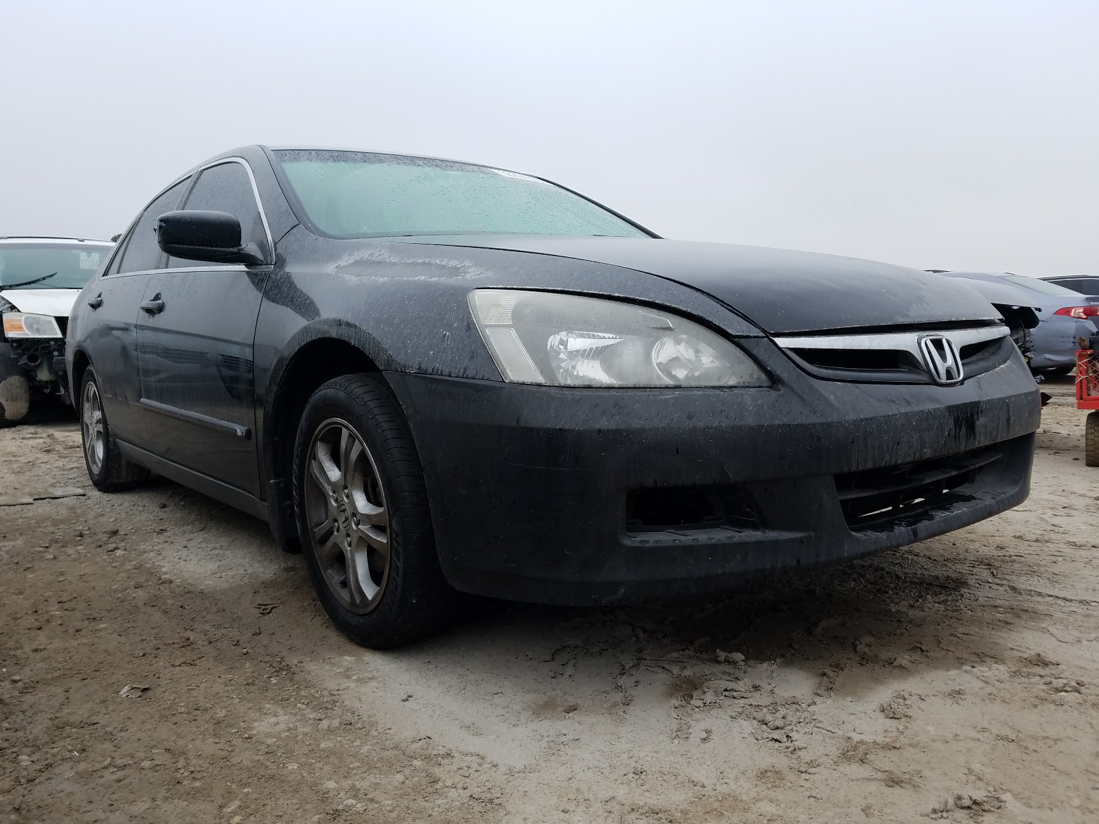 HONDA ACCORD SE 2006 1hgcm55306a041301