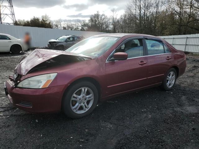 HONDA ACCORD 2006 1hgcm55316a013944