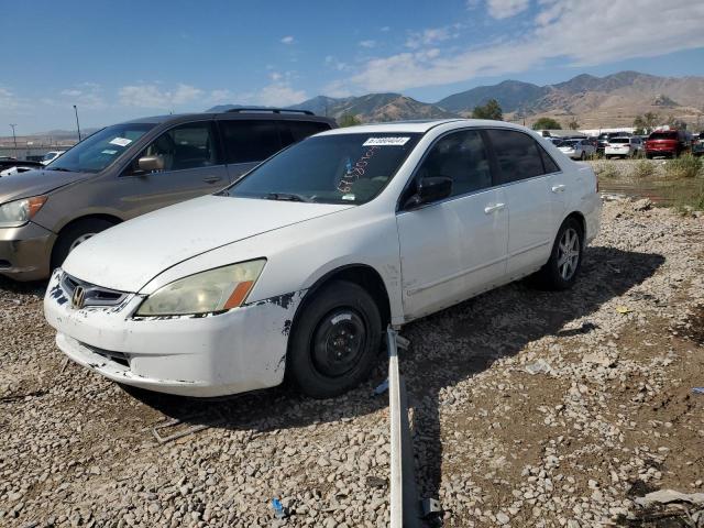 HONDA ACCORD EX 2006 1hgcm55886a132781