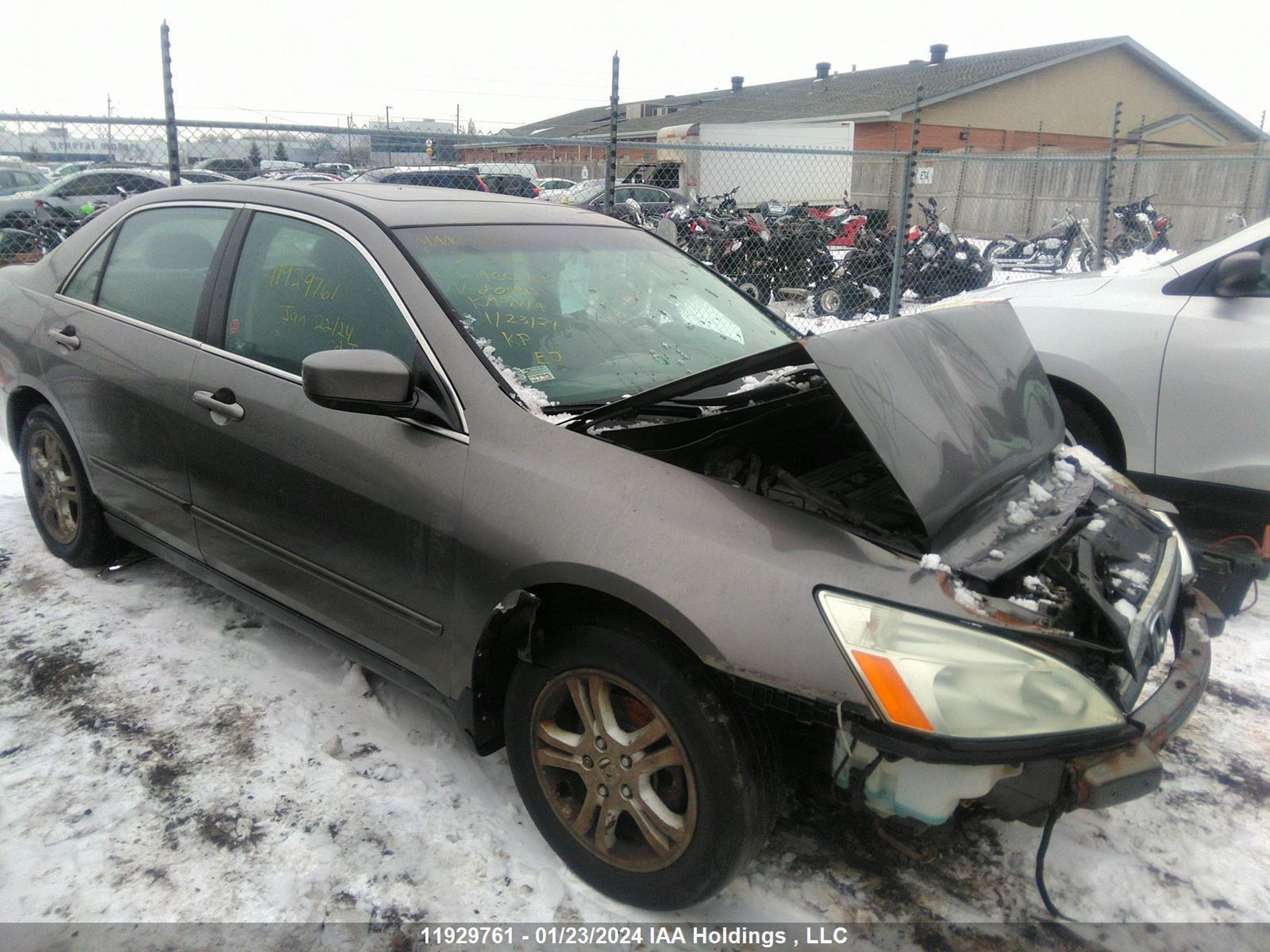 HONDA ACCORD 2006 1hgcm56316a809513