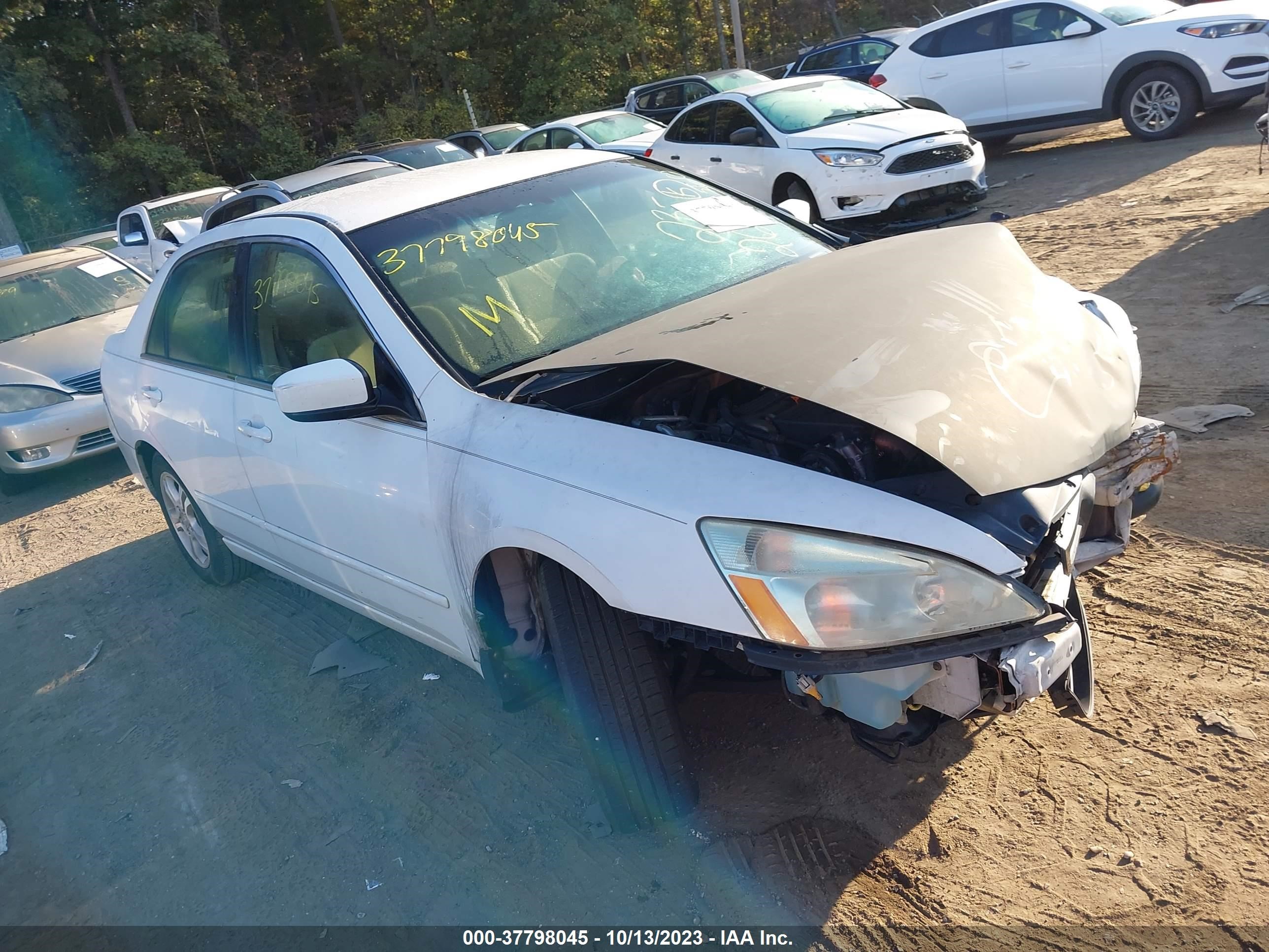 HONDA ACCORD 2006 1hgcm56336a006282