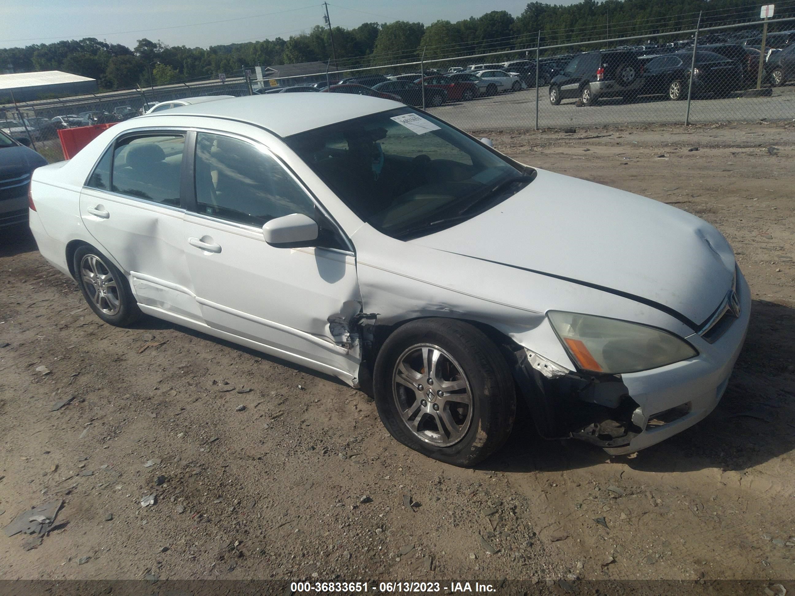 HONDA ACCORD 2006 1hgcm56366a026879