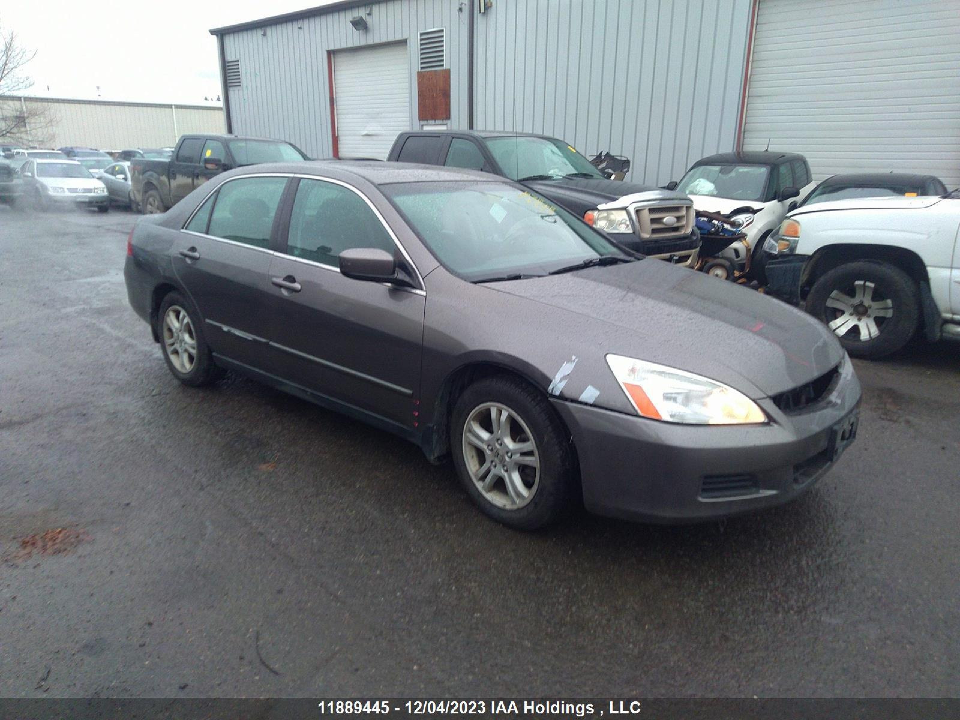 HONDA ACCORD 2006 1hgcm56376a813551