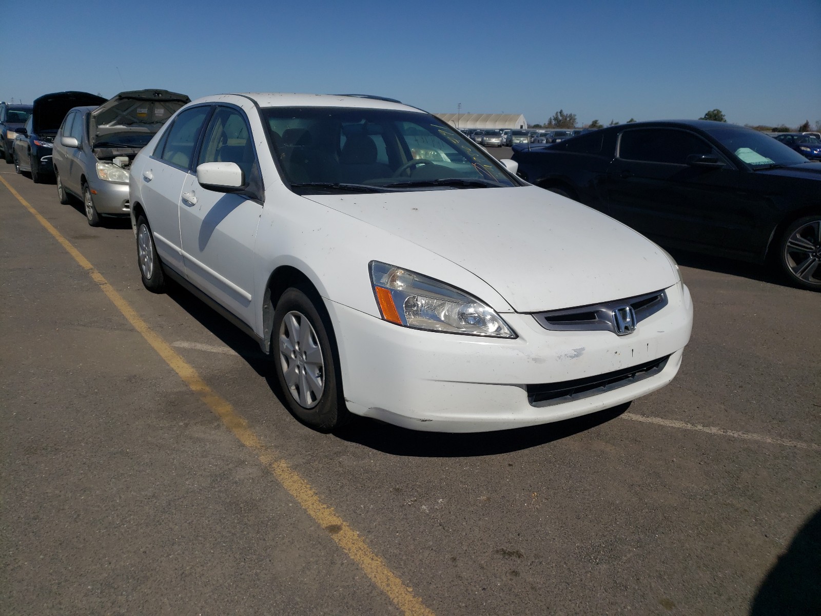 HONDA ACCORD LX 2004 1hgcm56394a064488