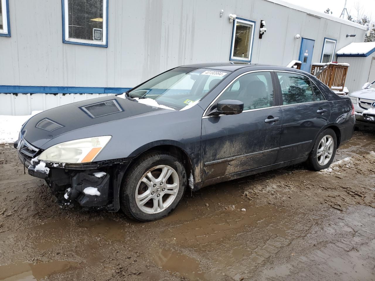 HONDA ACCORD 2006 1hgcm563x6a000088