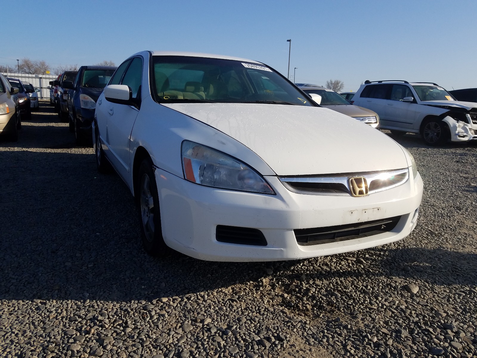 HONDA ACCORD LX 2005 1hgcm56445a025690