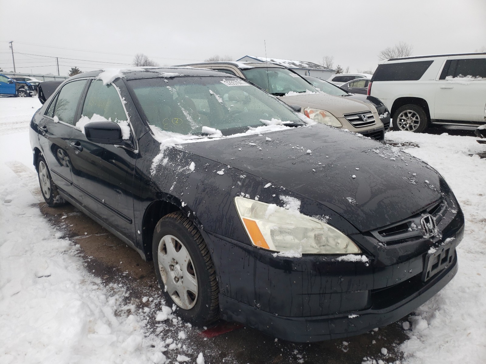 HONDA ACCORD LX 2005 1hgcm56455a178918