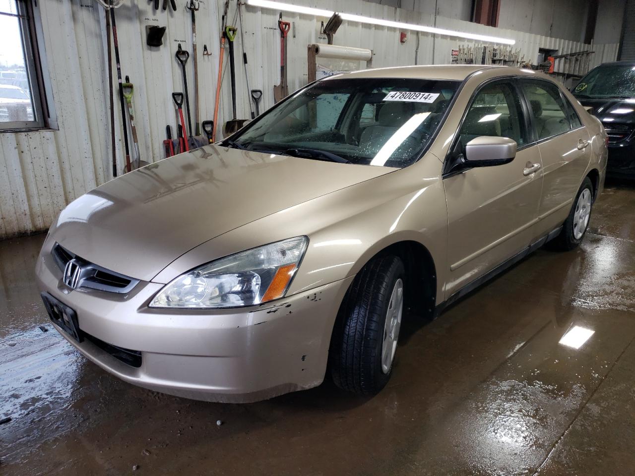 HONDA ACCORD 2005 1hgcm56495a136770