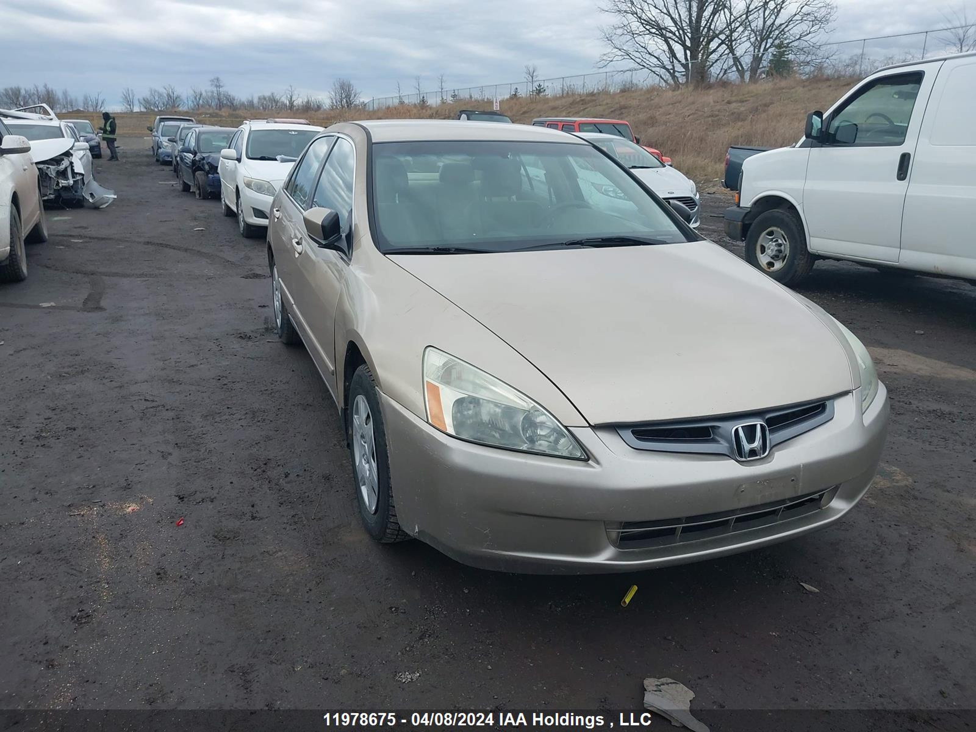 HONDA ACCORD 2005 1hgcm564x5a809114