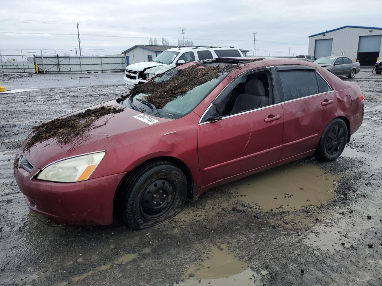 HONDA ACCORD 2004 1hgcm56734a052114