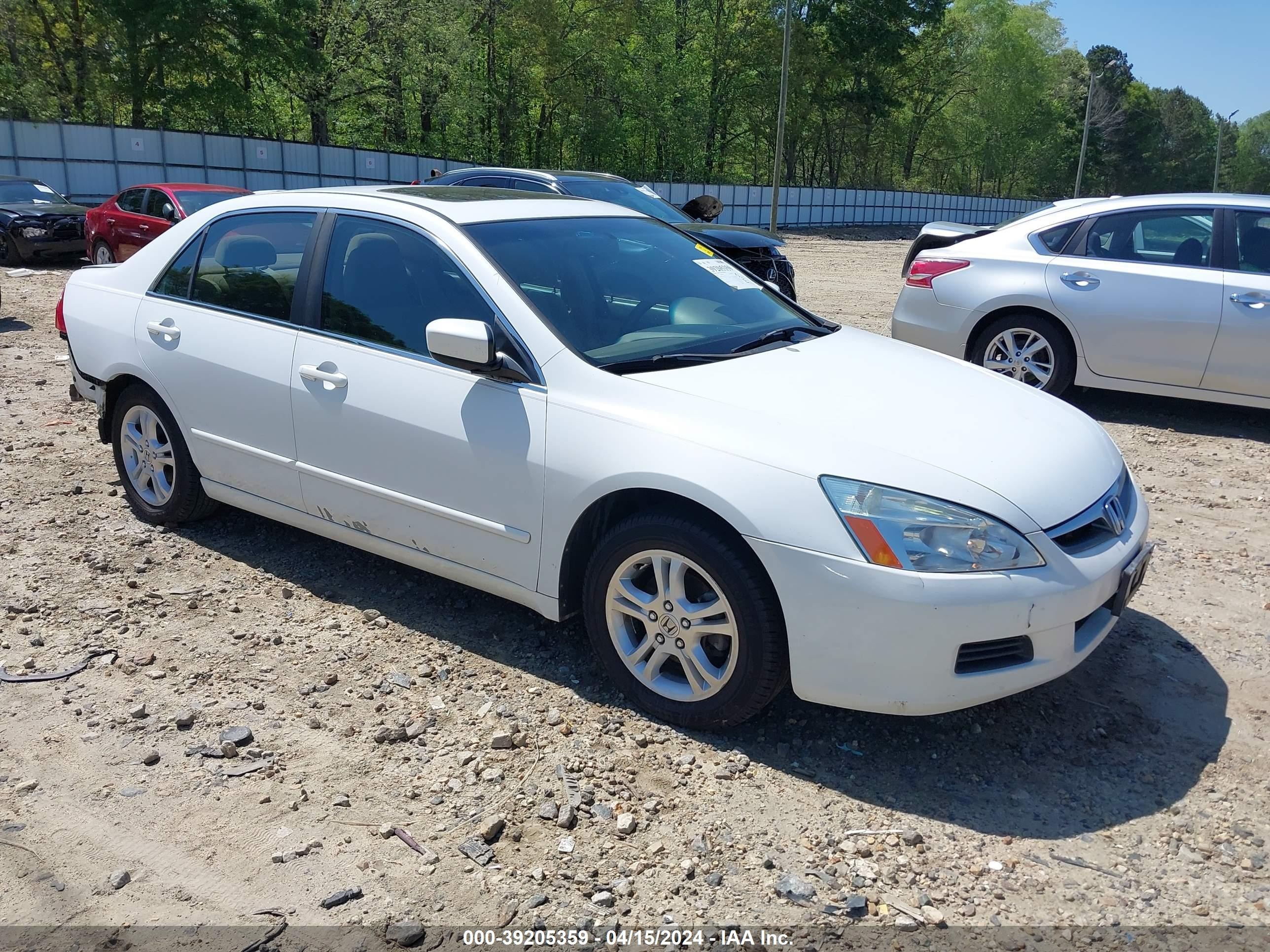 HONDA ACCORD 2006 1hgcm56736a087139