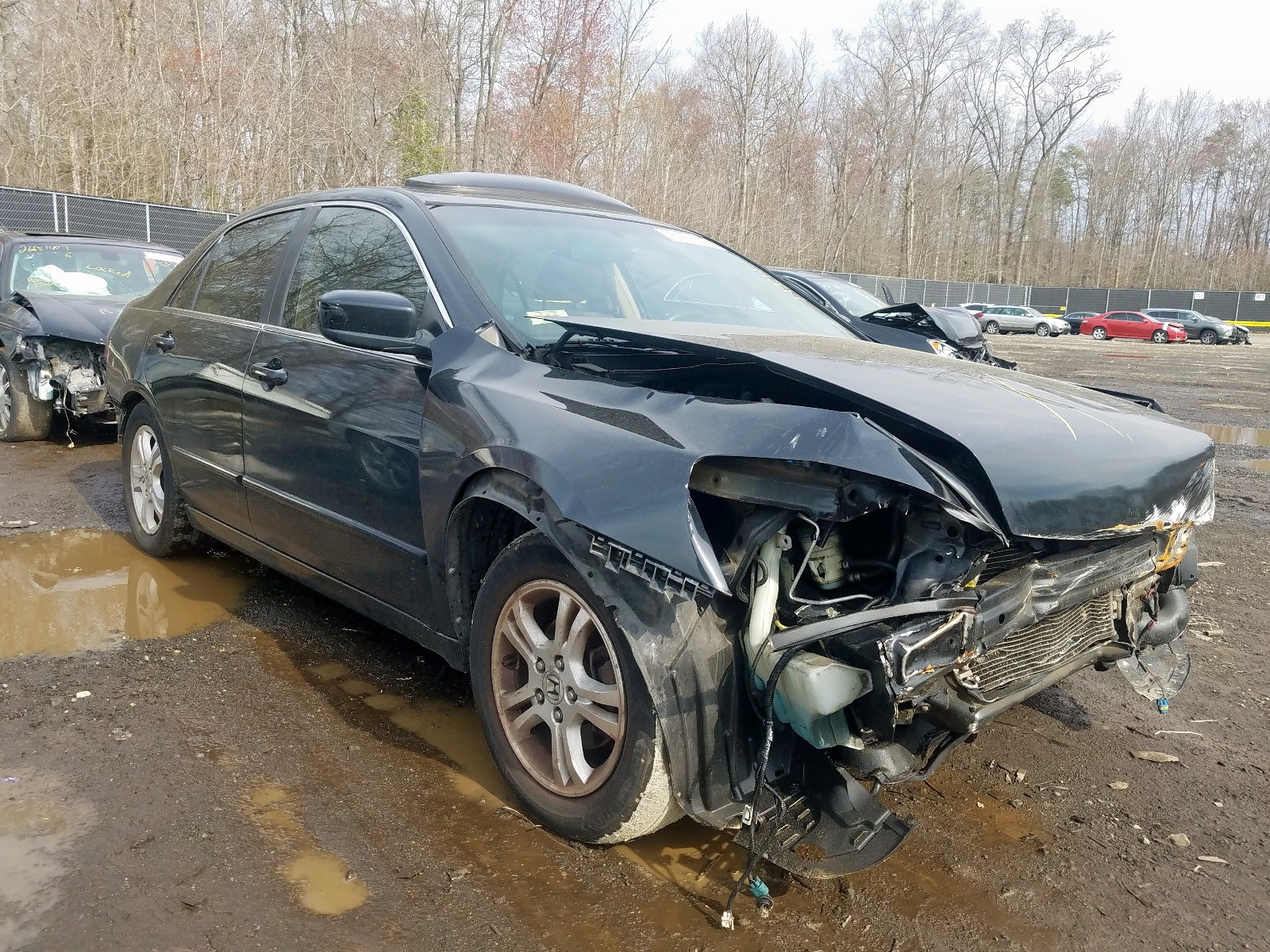 HONDA ACCORD EX 2006 1hgcm56746a066557