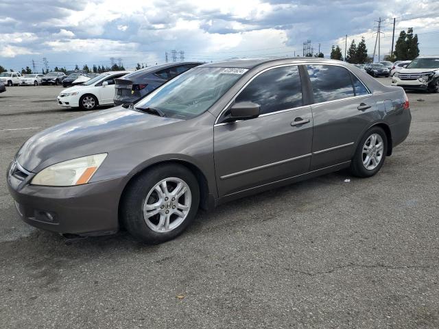 HONDA ACCORD 2006 1hgcm56756a131545