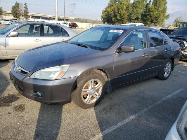 HONDA ACCORD 2006 1hgcm56776a100510