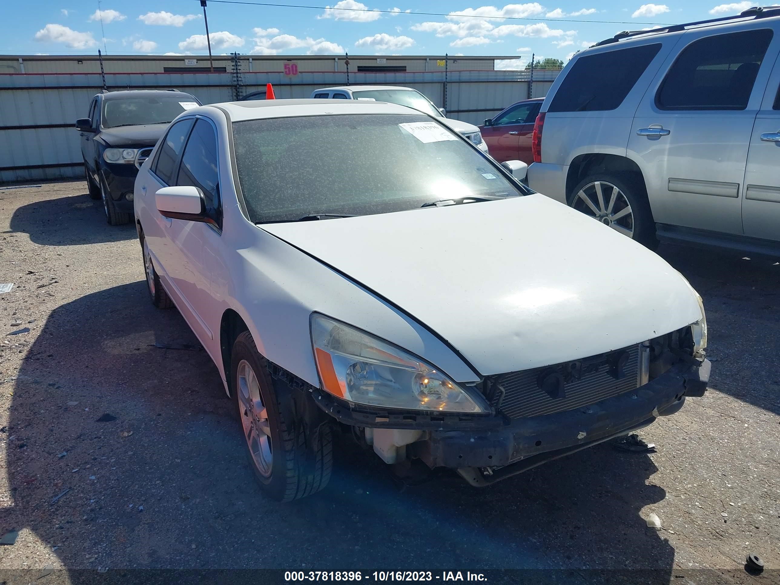 HONDA ACCORD 2006 1hgcm56796a166413