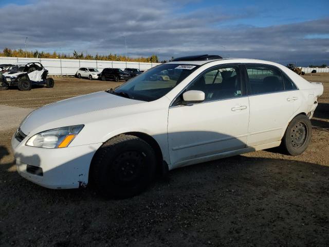 HONDA ACCORD EX 2007 1hgcm56797a800417