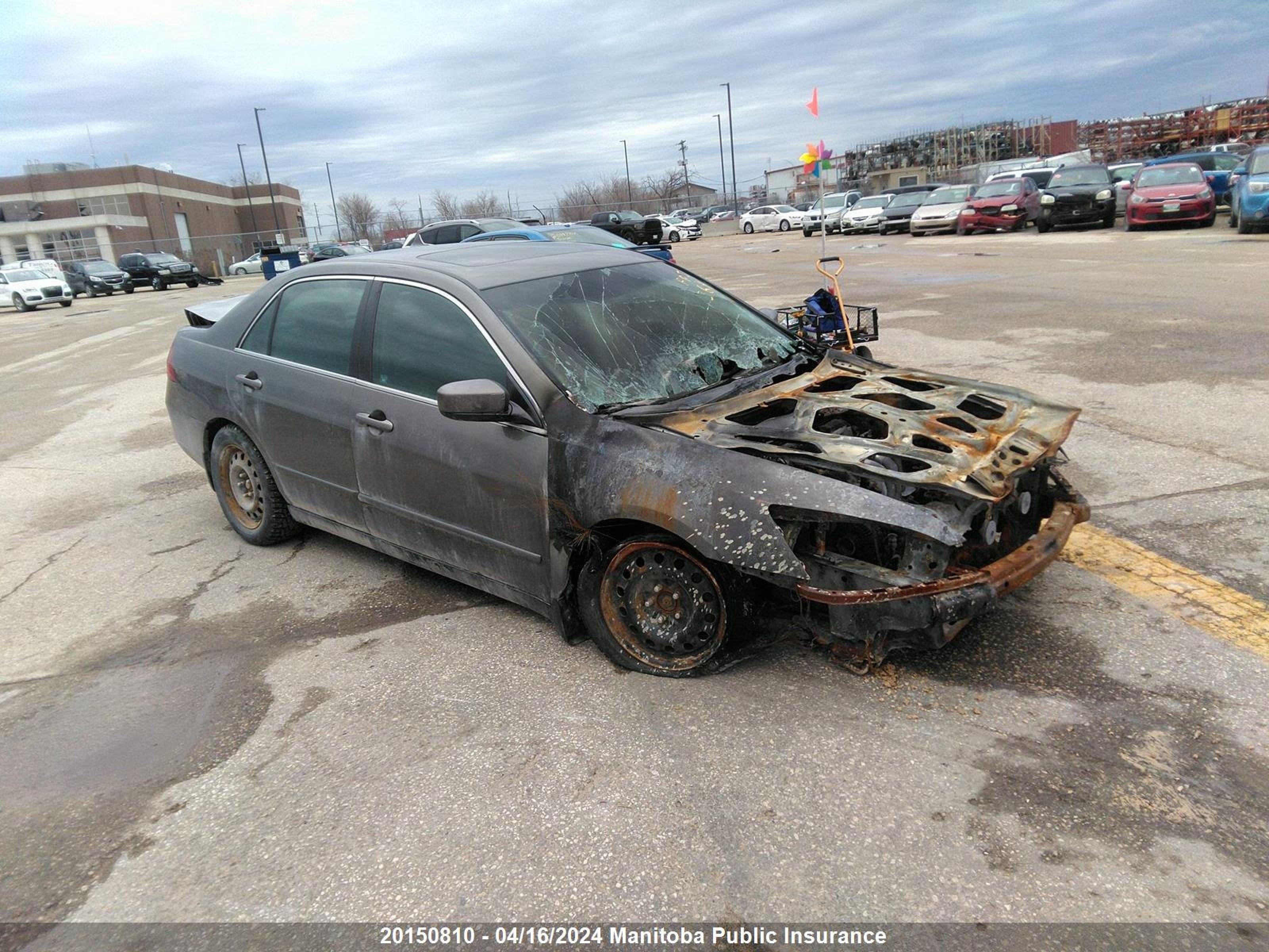 HONDA ACCORD 2007 1hgcm56797a803754