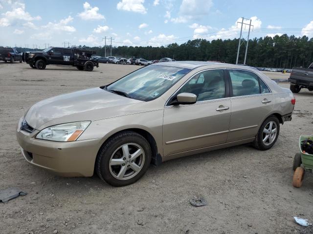 HONDA ACCORD 2005 1hgcm56805a023874