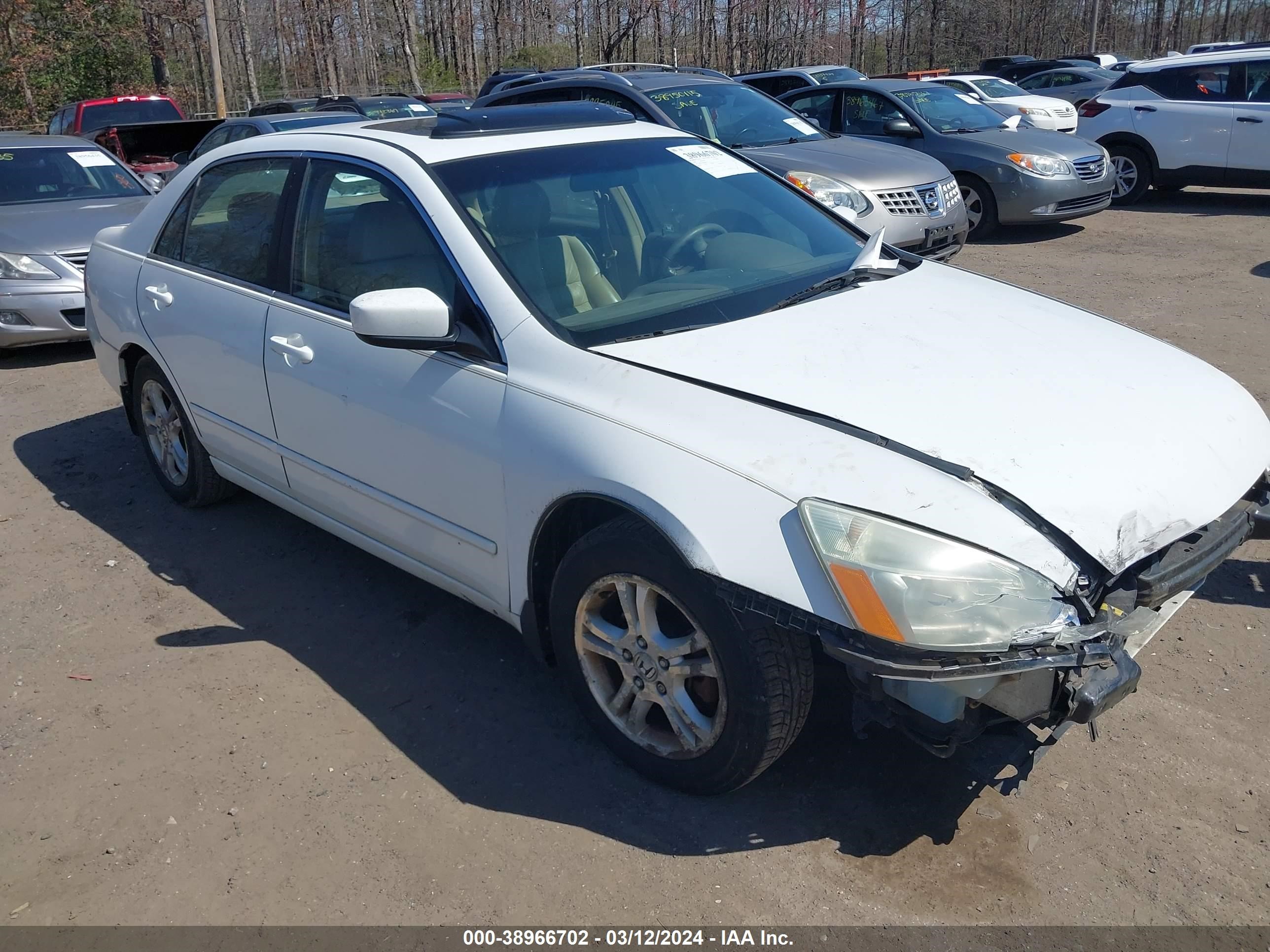 HONDA ACCORD 2006 1hgcm56806a063132