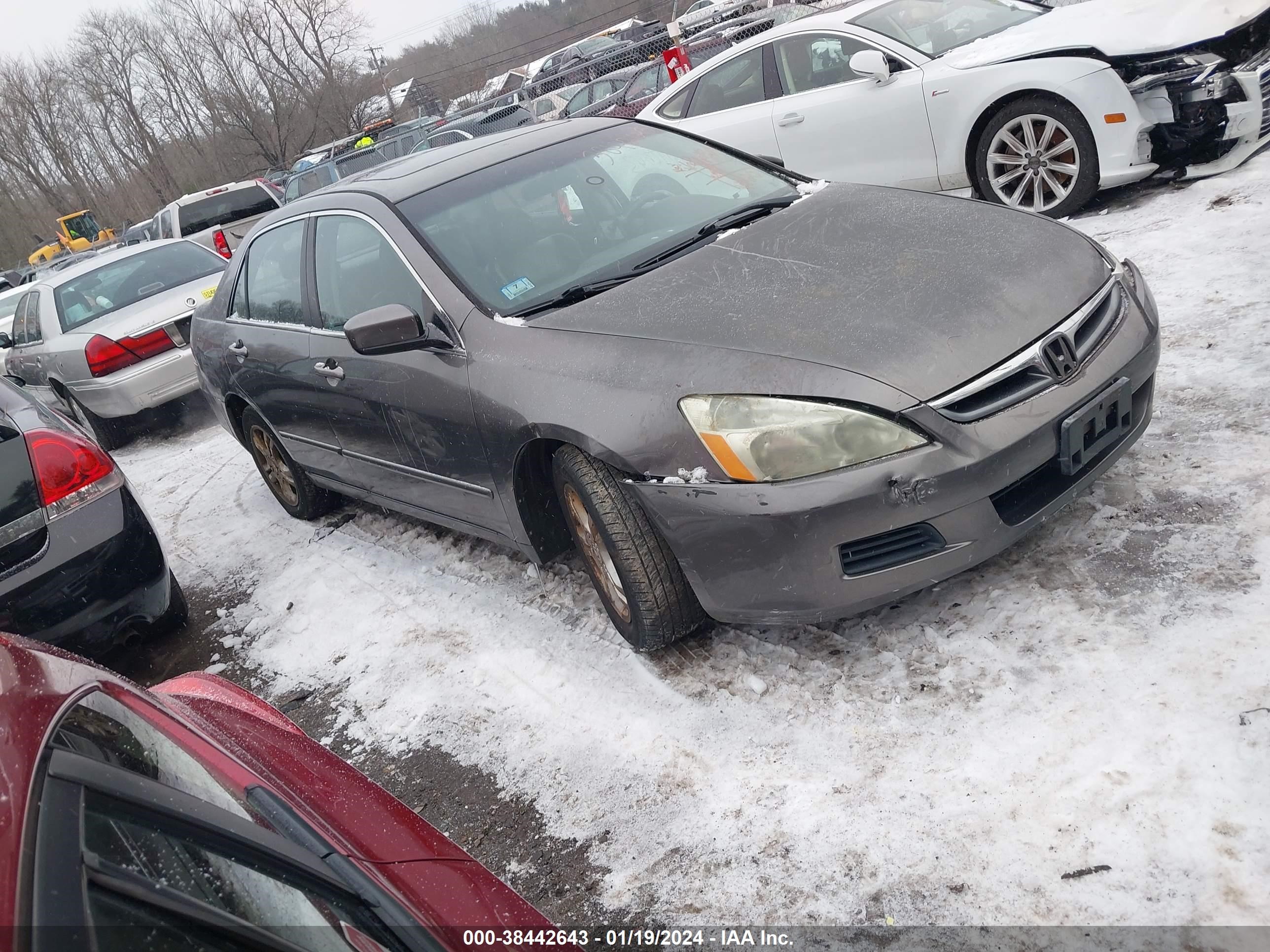 HONDA ACCORD 2006 1hgcm56806a133065