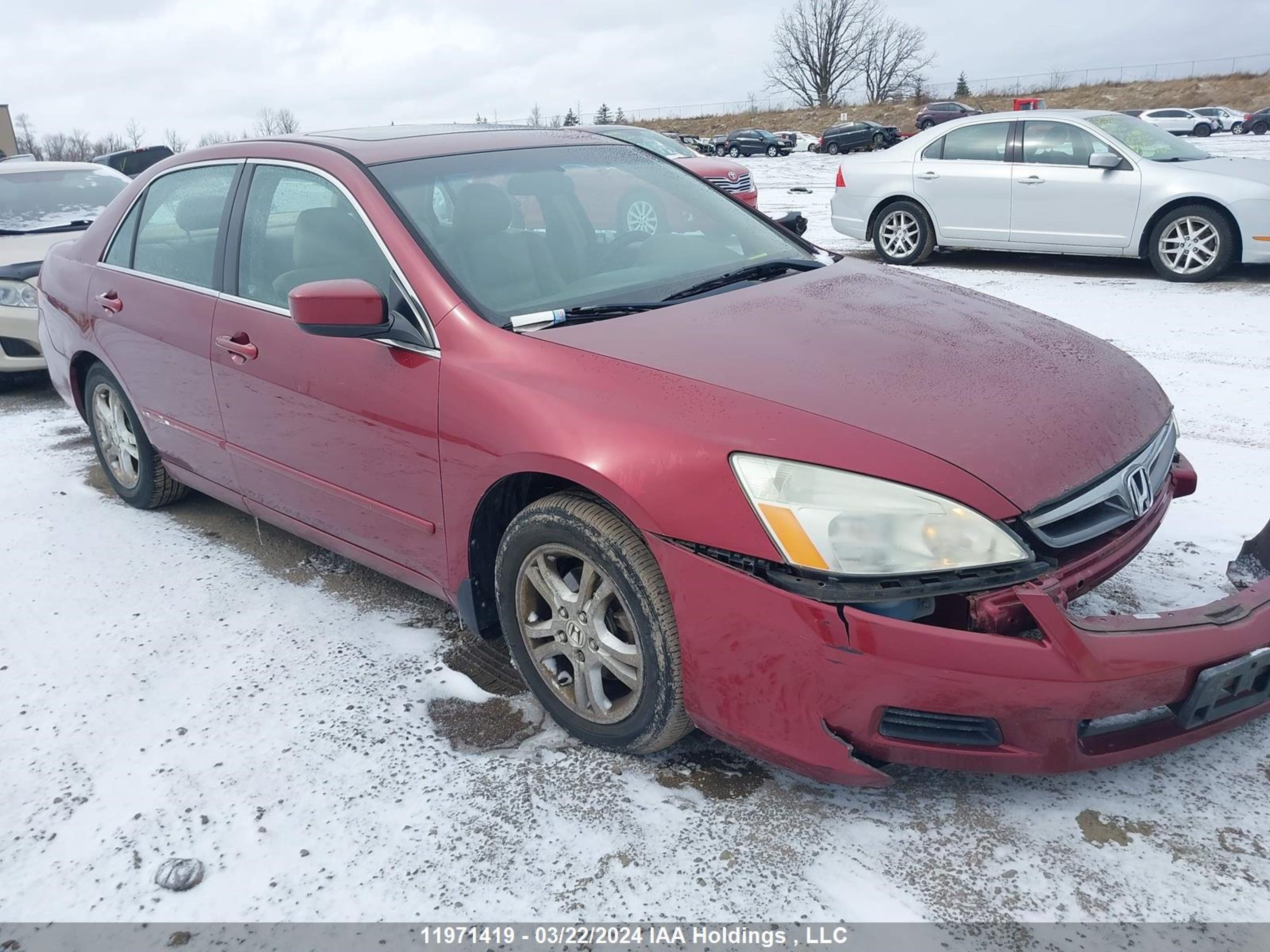 HONDA ACCORD 2006 1hgcm56806a808610