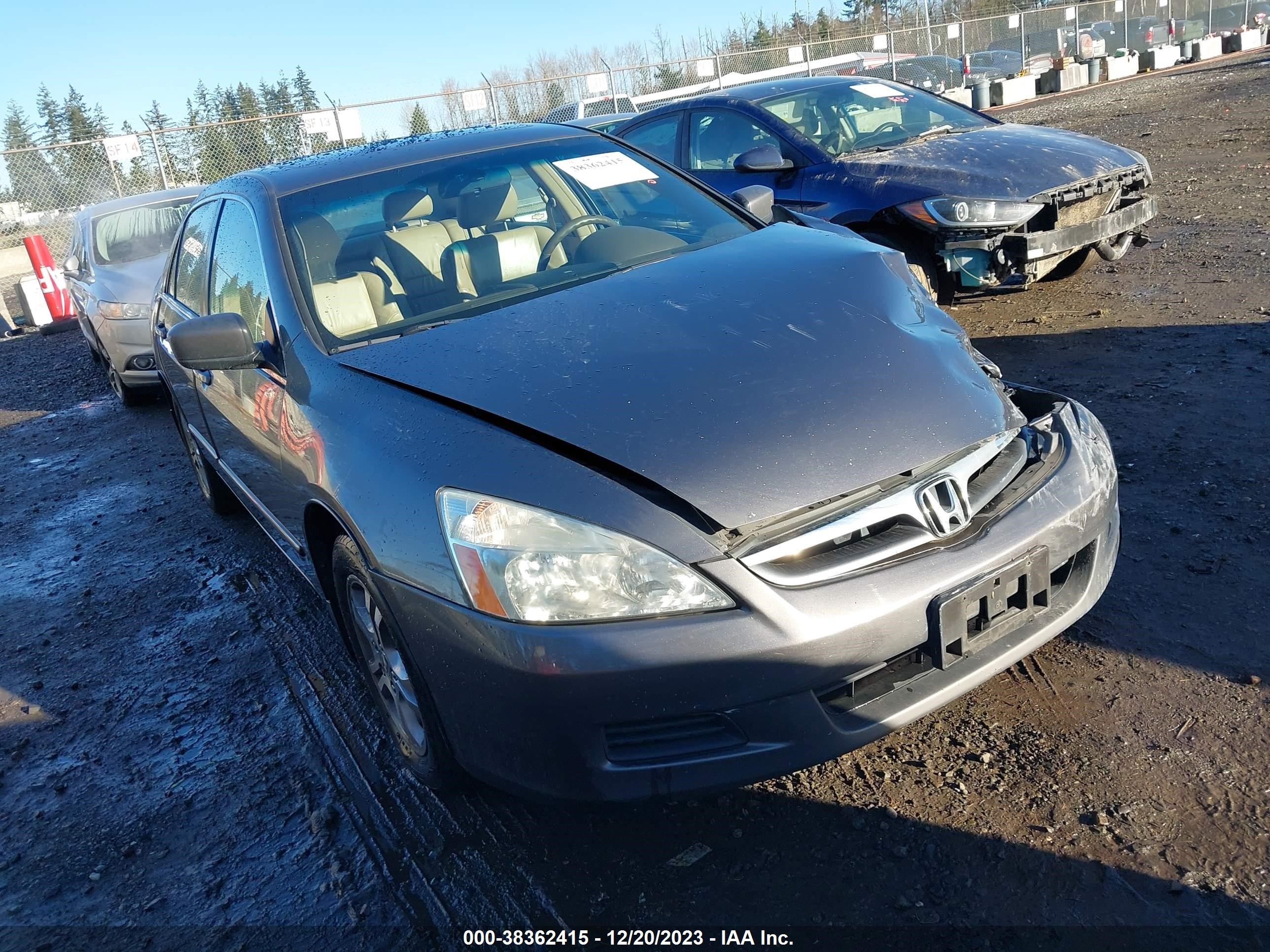 HONDA ACCORD 2006 1hgcm56816a106473