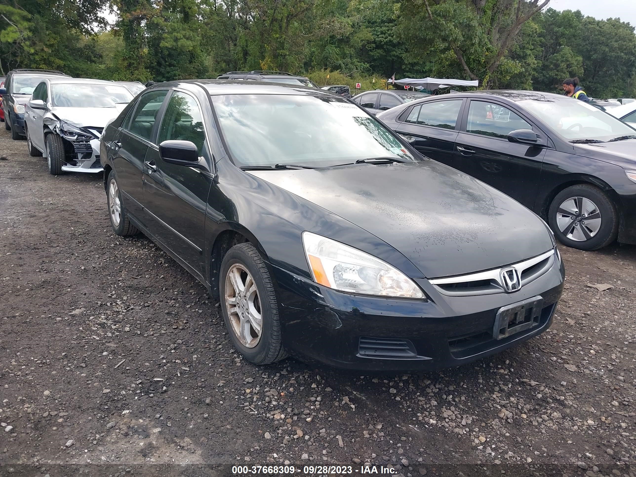 HONDA ACCORD 2007 1hgcm56817a174984