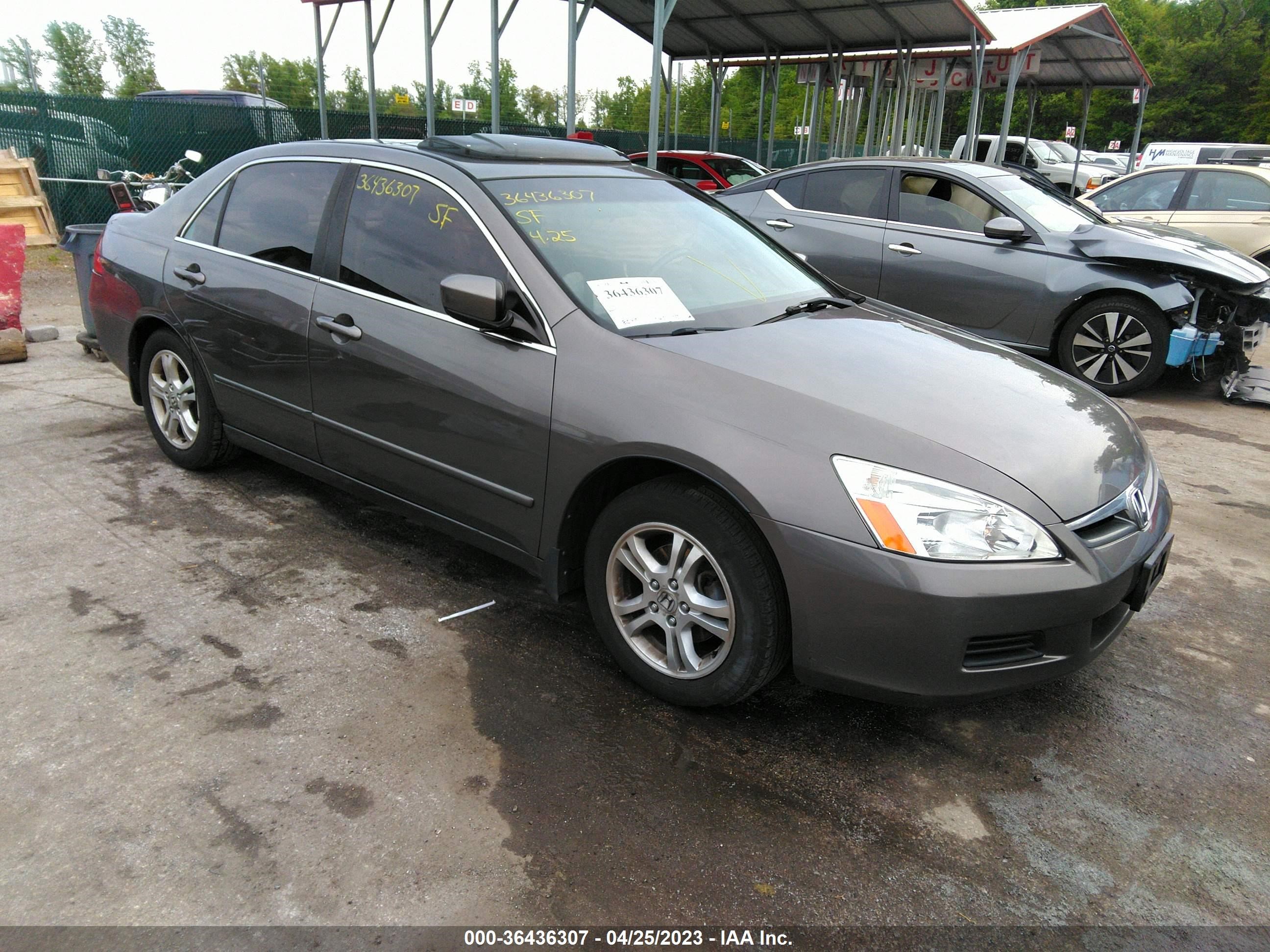 HONDA ACCORD 2006 1hgcm56826a088288