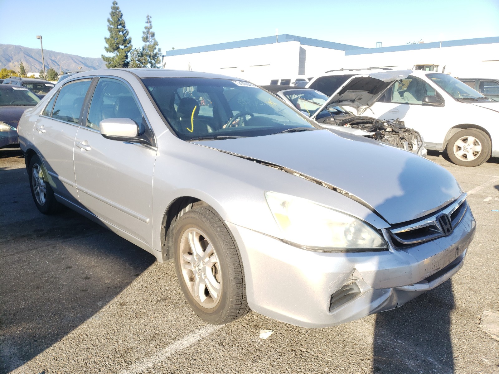 HONDA ACCORD EX 2007 1hgcm56827a081696