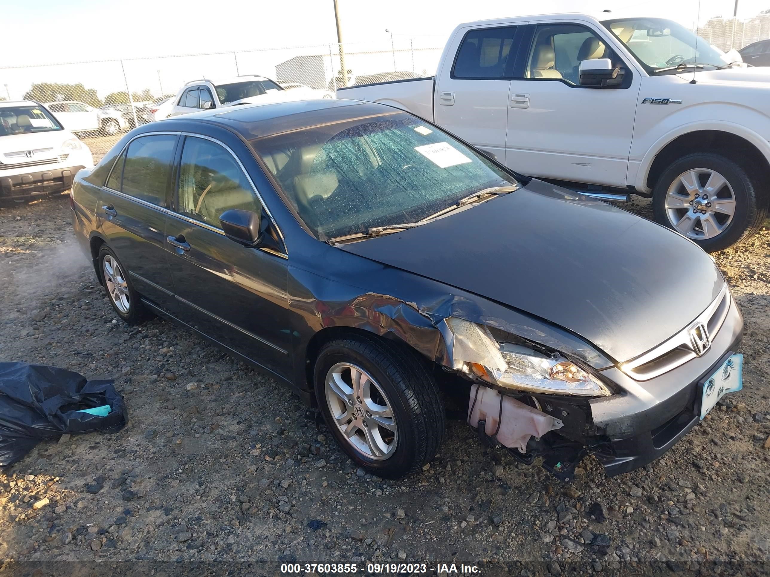 HONDA ACCORD 2007 1hgcm56827a102854