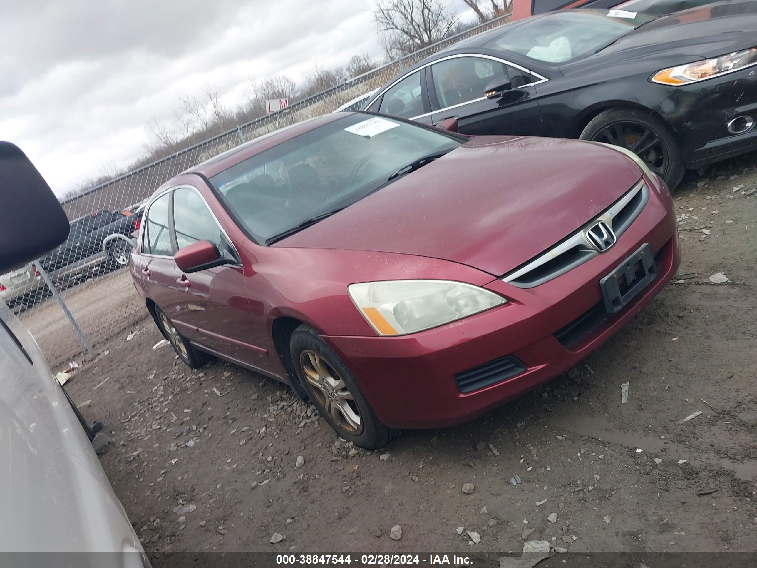 HONDA ACCORD 2006 1hgcm56836a044378