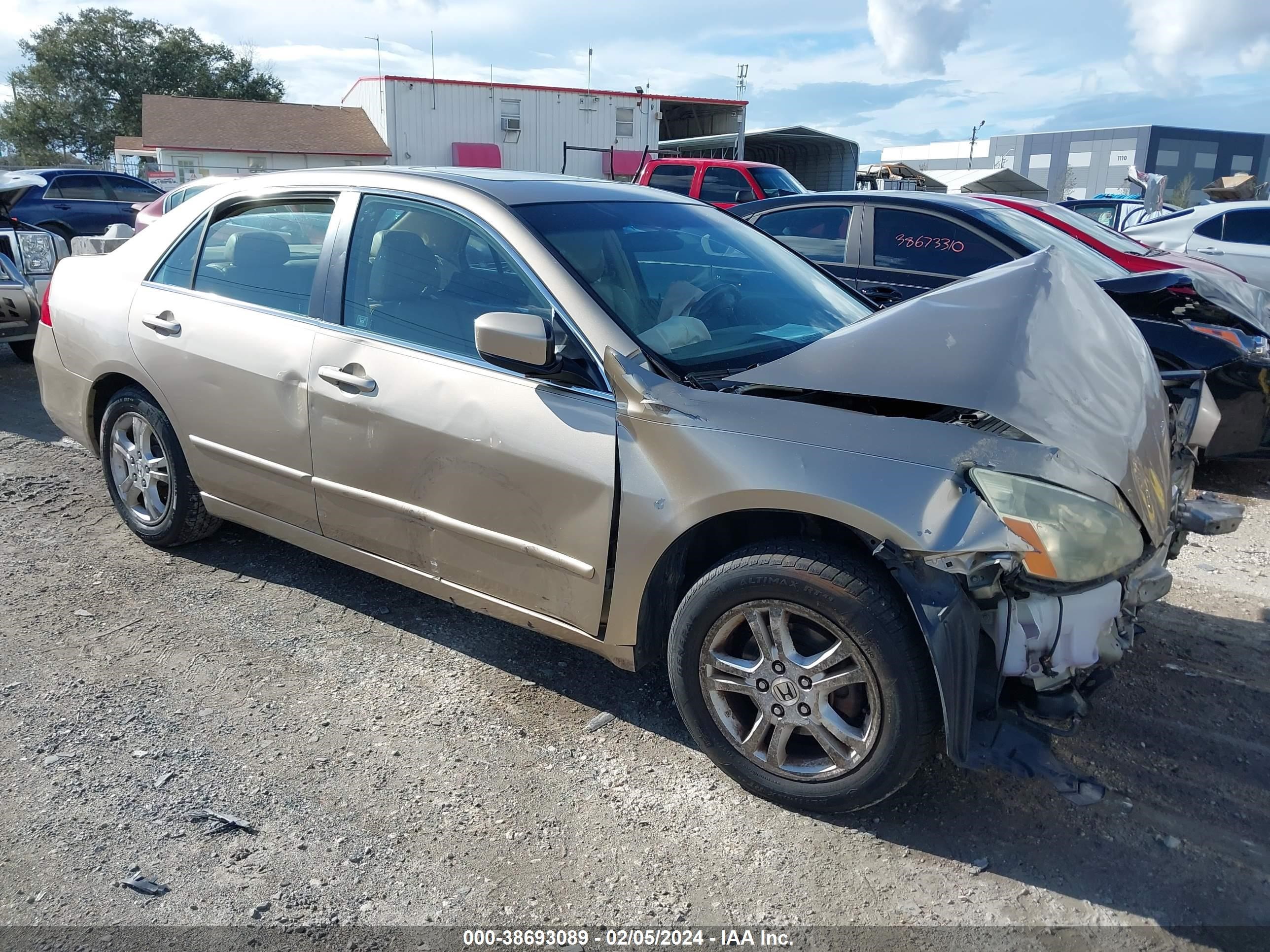 HONDA ACCORD 2006 1hgcm56846a065692