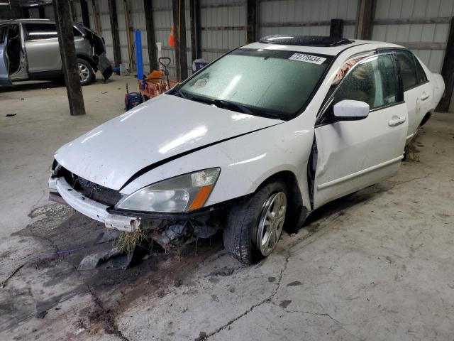 HONDA ACCORD EX 2006 1hgcm56846a156820