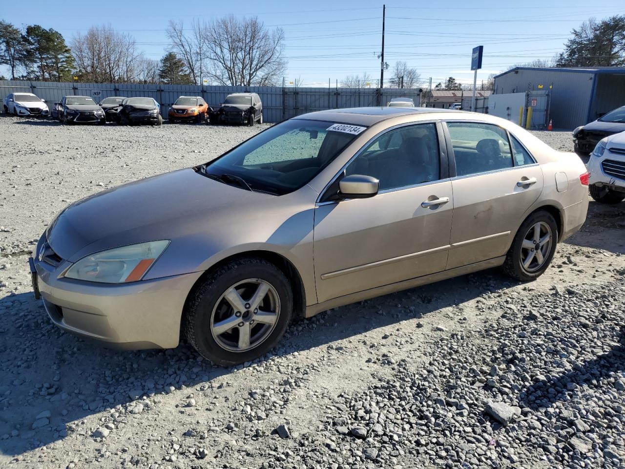 HONDA ACCORD 2005 1hgcm56855a034742