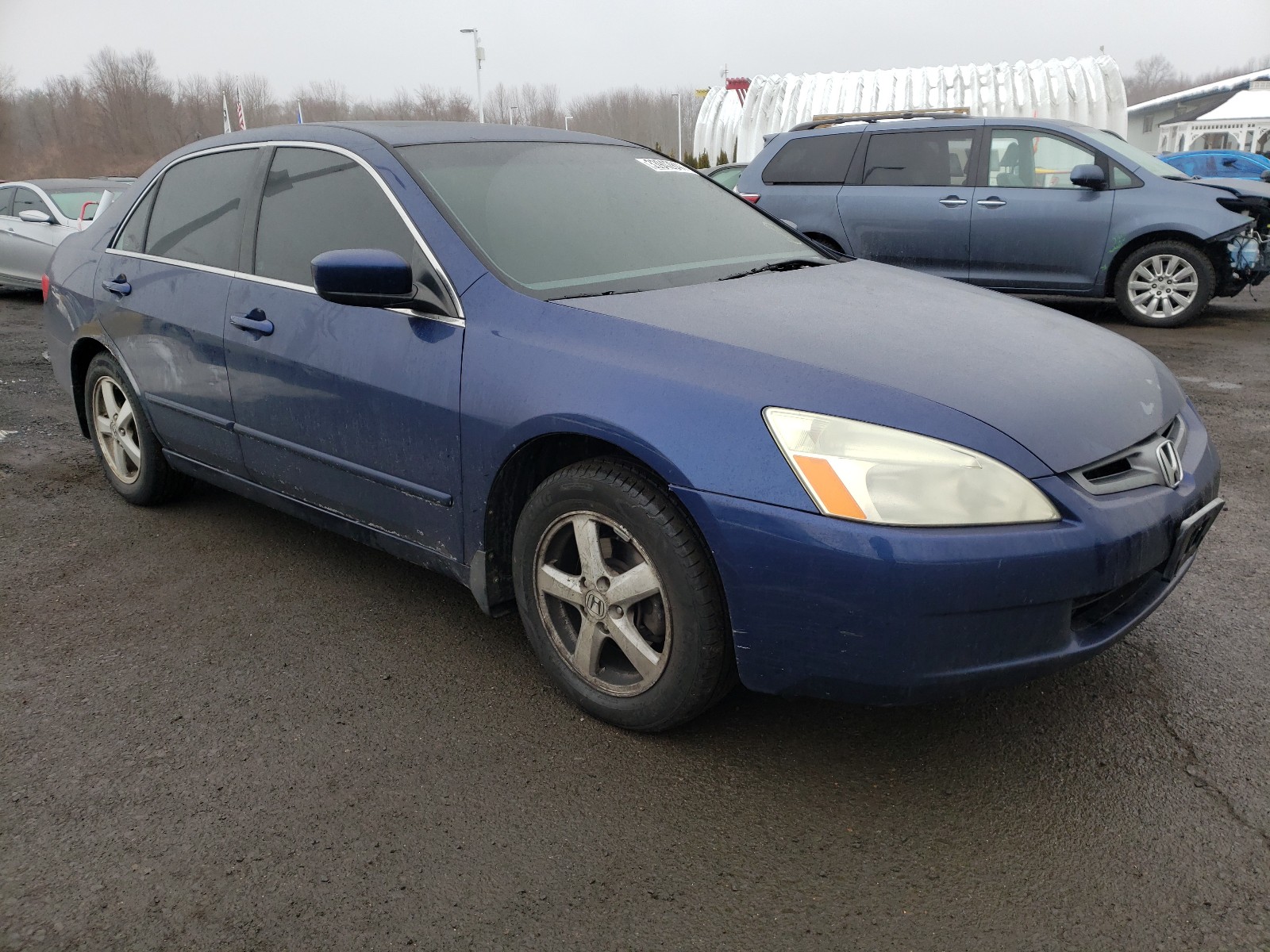 HONDA ACCORD EX 2005 1hgcm56855a071841