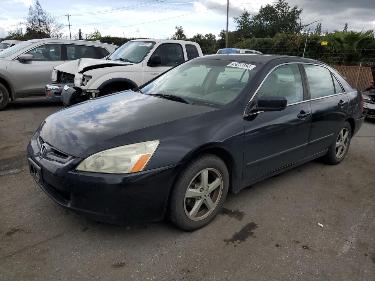 HONDA ACCORD 2005 1hgcm56855a130046