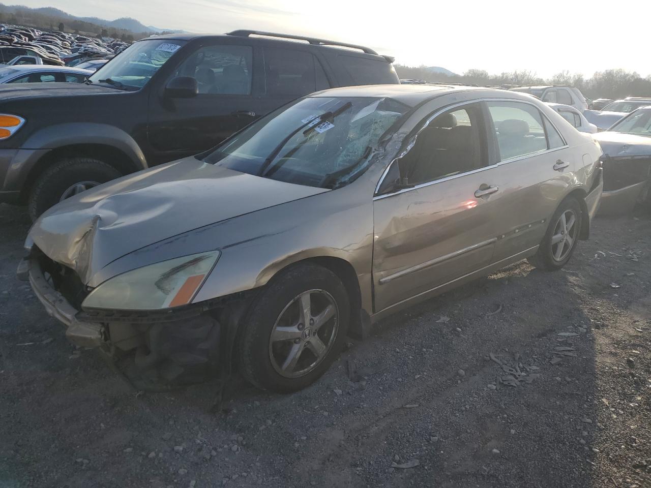 HONDA ACCORD 2005 1hgcm56855a189923