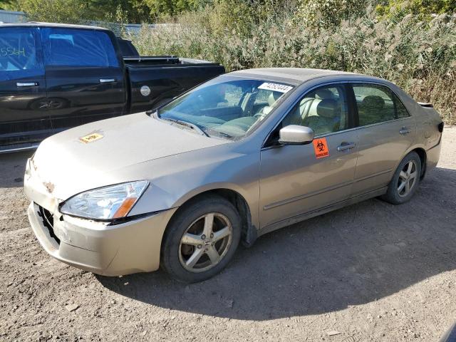 HONDA ACCORD EX 2004 1hgcm56864a008813