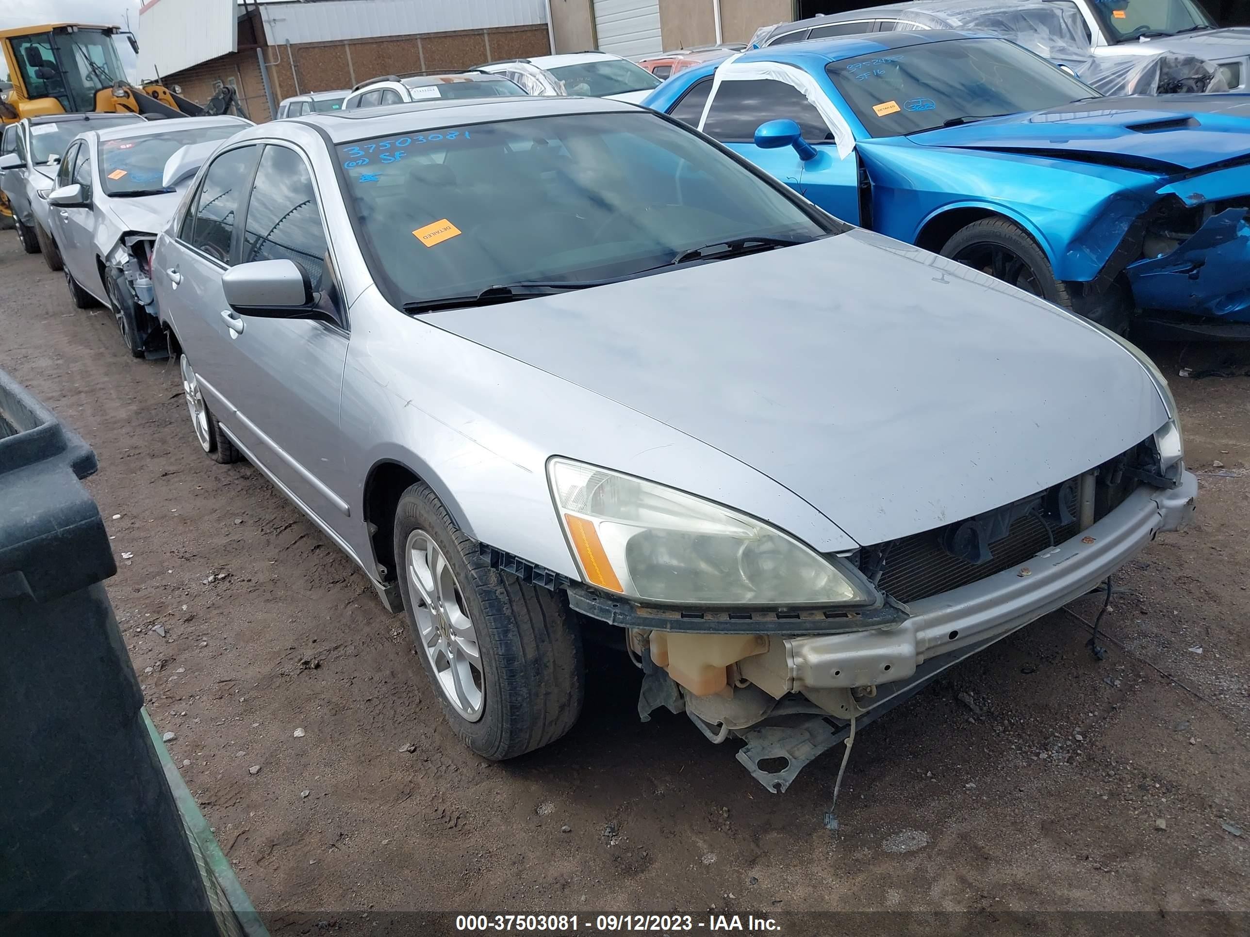 HONDA ACCORD 2007 1hgcm56867a050855