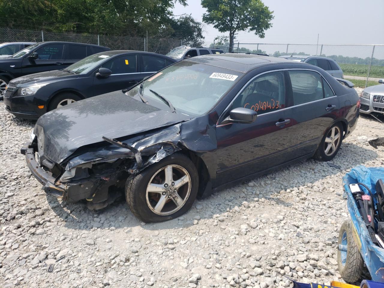 HONDA ACCORD 2005 1hgcm56875a161878