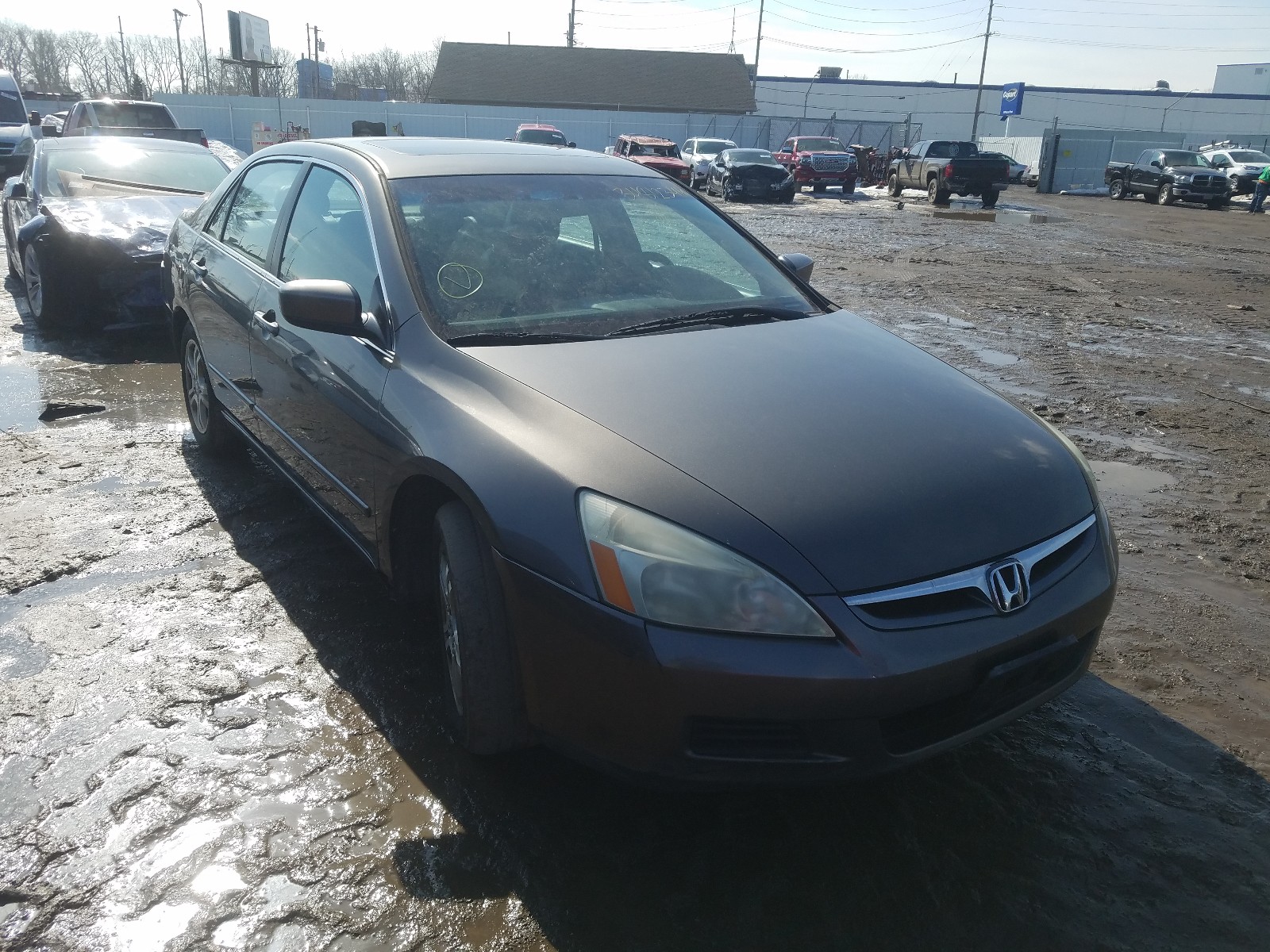 HONDA ACCORD EX 2006 1hgcm56876a017989