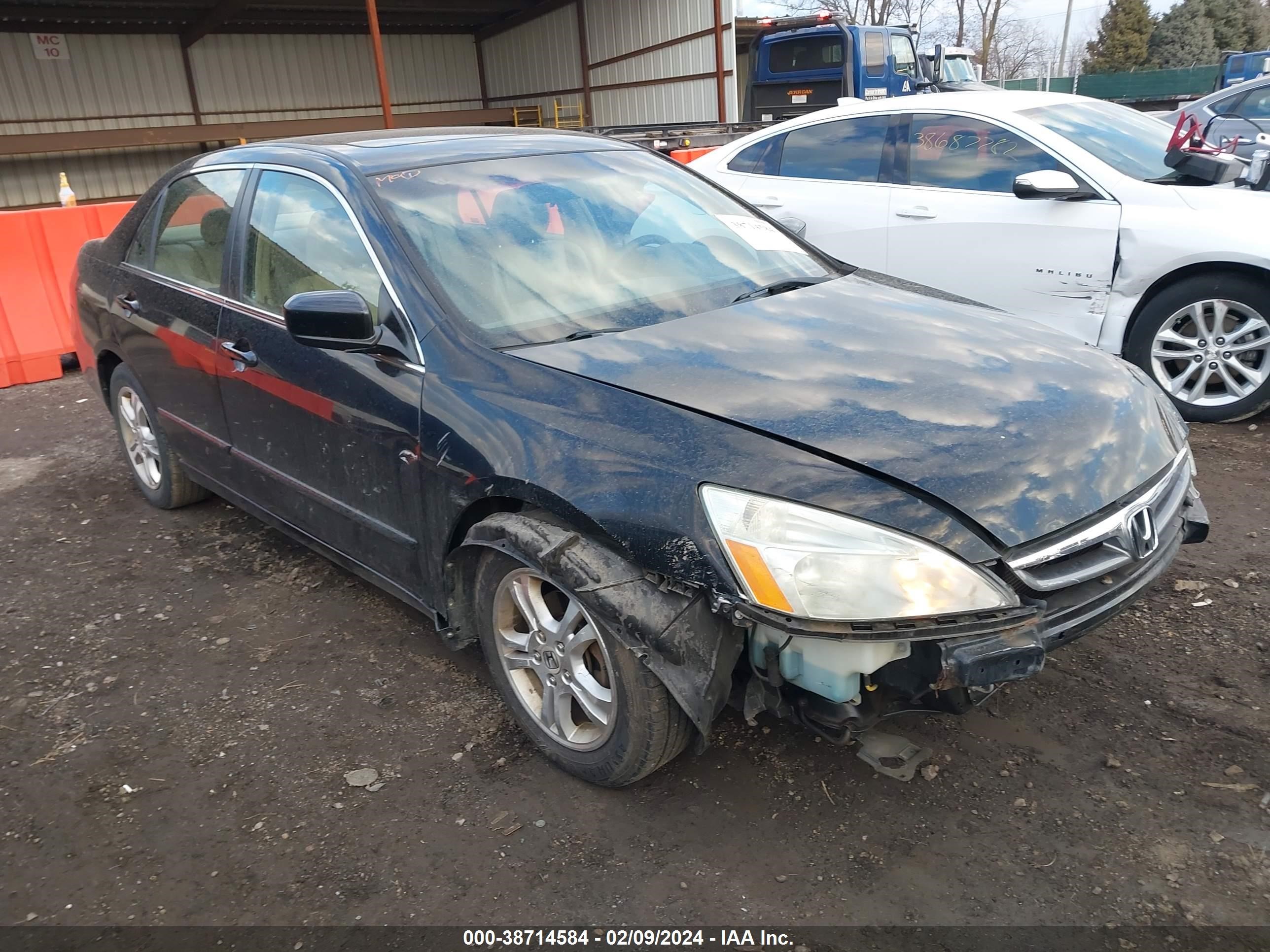 HONDA ACCORD 2006 1hgcm56876a109345