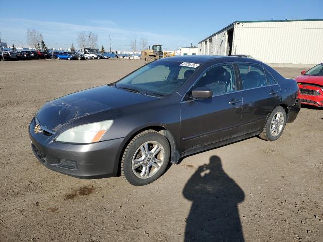 HONDA ACCORD 2006 1hgcm56876a806045