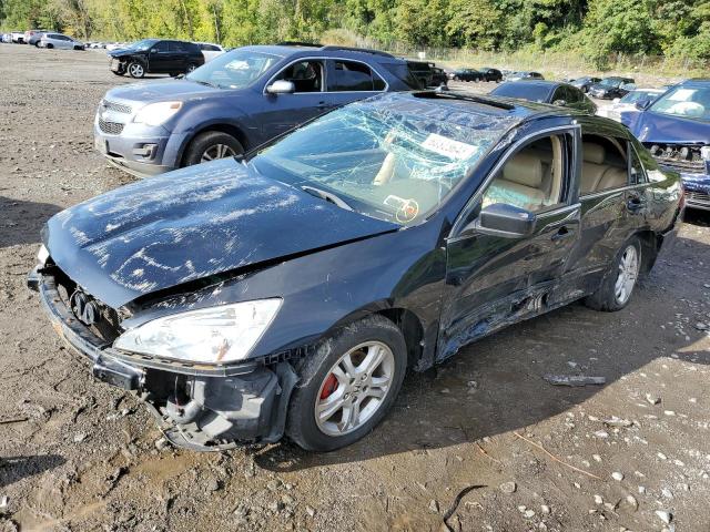 HONDA ACCORD EX 2006 1hgcm56886a020044